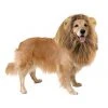 Tipsy Elves Lions Mane Dog Costume 1 Tipsy Elves Lions Mane Dog Costume
