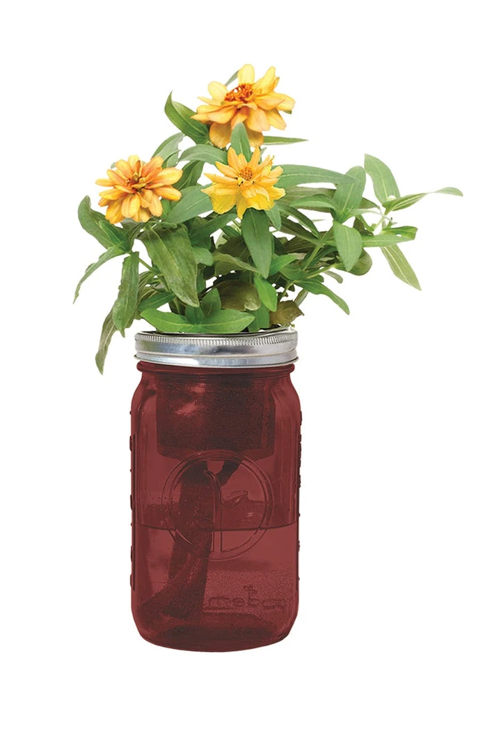 Tipsy Elves Garden Jar - Zinnia Holidays & Occasions 3 Tipsy Elves Garden Jar - Zinnia Holidays & Occasions