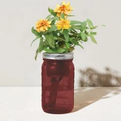 Tipsy Elves Garden Jar - Zinnia Holidays & Occasions 8 Tipsy Elves Garden Jar - Zinnia Holidays & Occasions