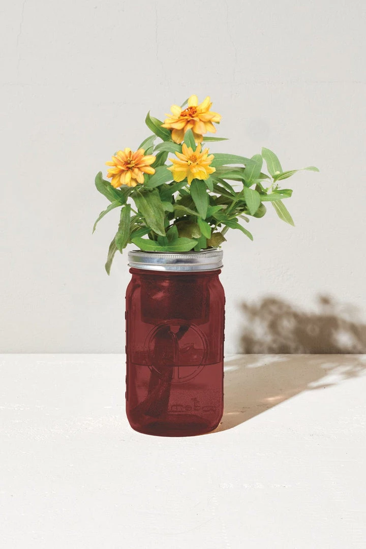 Tipsy Elves Garden Jar - Zinnia Holidays & Occasions 5 Tipsy Elves Garden Jar - Zinnia Holidays & Occasions