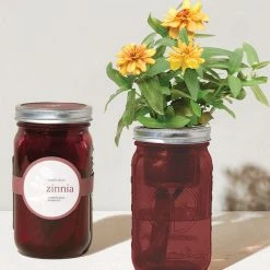 Tipsy Elves Garden Jar - Zinnia Holidays & Occasions 9 Tipsy Elves Garden Jar - Zinnia Holidays & Occasions