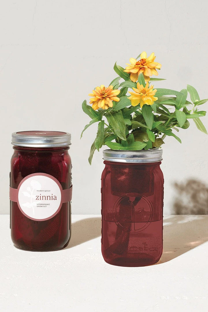 Tipsy Elves Garden Jar - Zinnia Holidays & Occasions 6 Tipsy Elves Garden Jar - Zinnia Holidays & Occasions