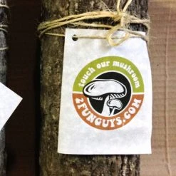 Tipsy Elves Mushroom Oyster Log